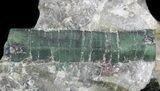 Beryl (Var: Emerald) Crystal in Quartz & Biotite - Bahia, Brazil #44120-2